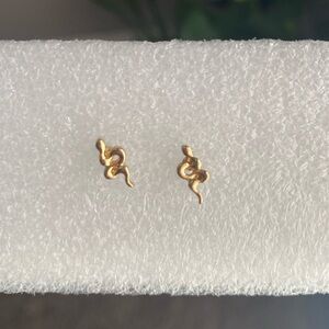 Snake earrings (14k)